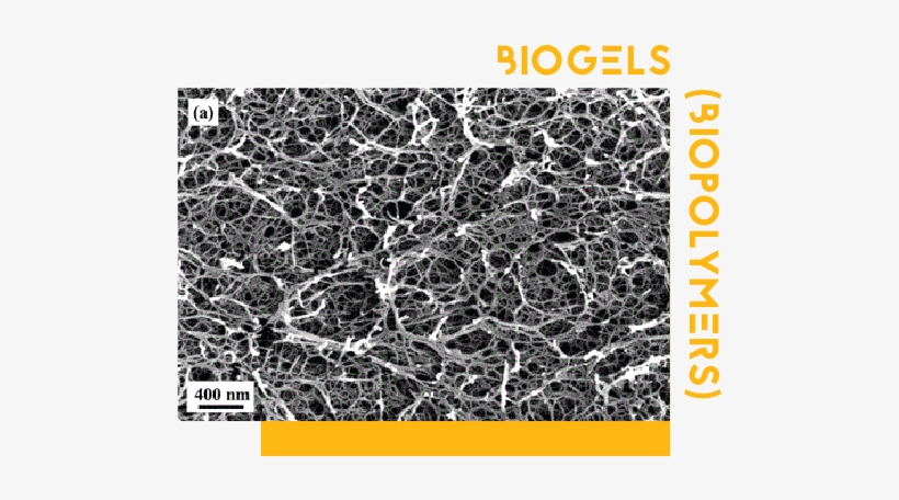 Elementary & Middle School Concept Areas - Circle, transparent png download