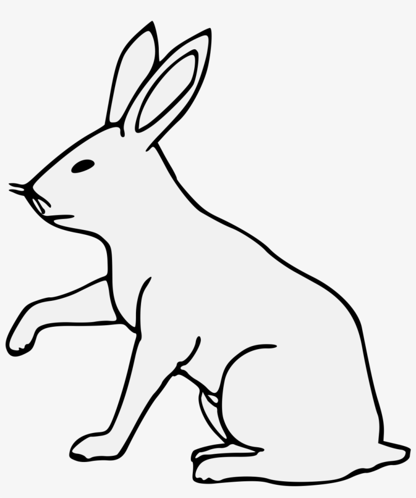 Details, Png - Domestic Rabbit, transparent png download