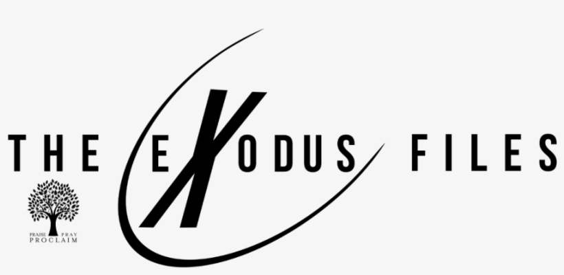 Collin Creek Church Weekly Update - Graphic Design, transparent png download