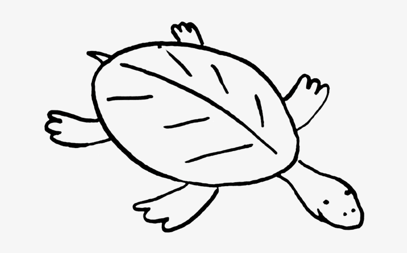 Turtle - Turtle Clip Art, transparent png download