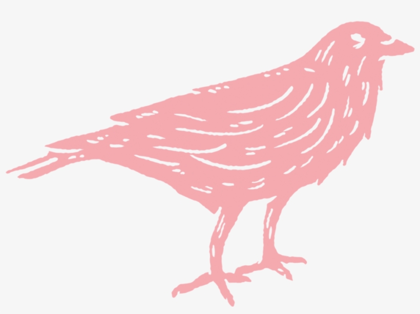 Wc Logo Crow Pink, transparent png download