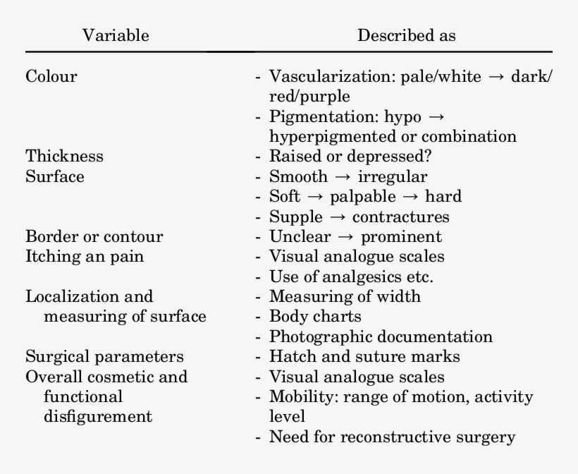 The Most Important Variables Assessed By Scar Scales - Evaluation, transparent png download