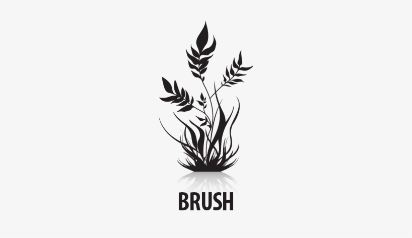 Brush - Anti Hair Loss Shampoo 420ml, transparent png download