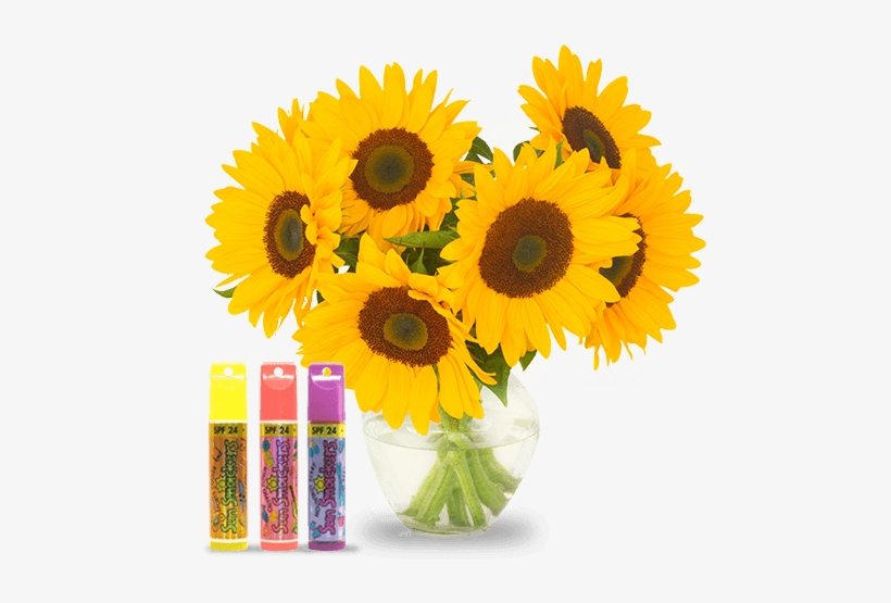 Lip Smacker Debuts As The World's First Flavored Lip - Bay, transparent png download