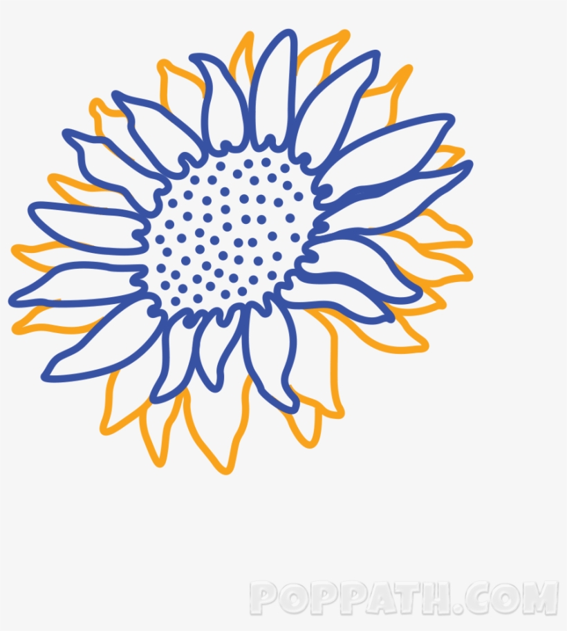 With A Free Hand, Draw Various Cone Shaped Figures - Sunflower Drawing, transparent png download