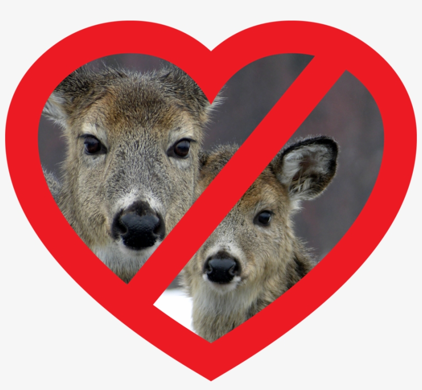 Deer Heart Hate Deer Transparent Png 900x790 Free Download On Nicepng