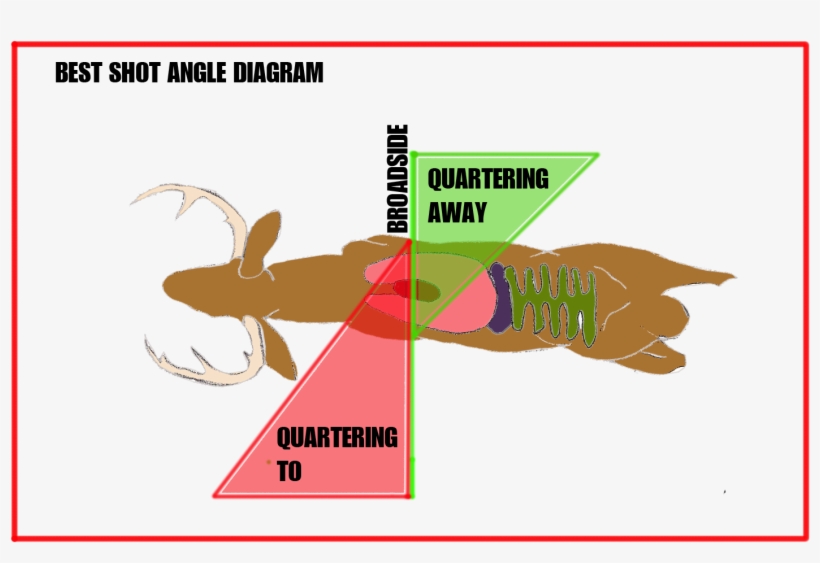 Deer Shot Angle Overhead - Bow And Arrow, transparent png download