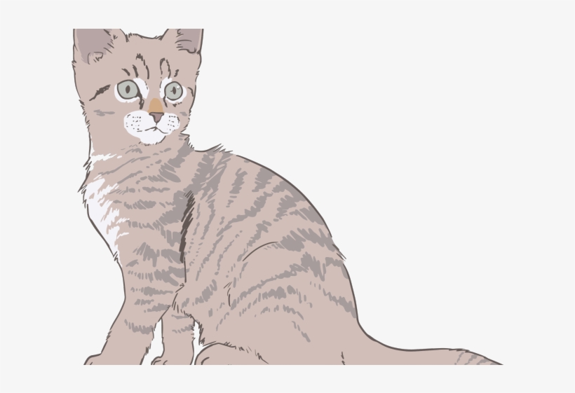 Kitten Clipart Public Domain - Dibujos De Gato A Color, transparent png download