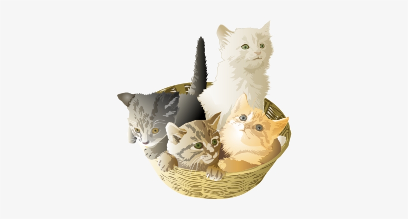 Mom I Can&find My Shoes - Animal Clipart, transparent png download