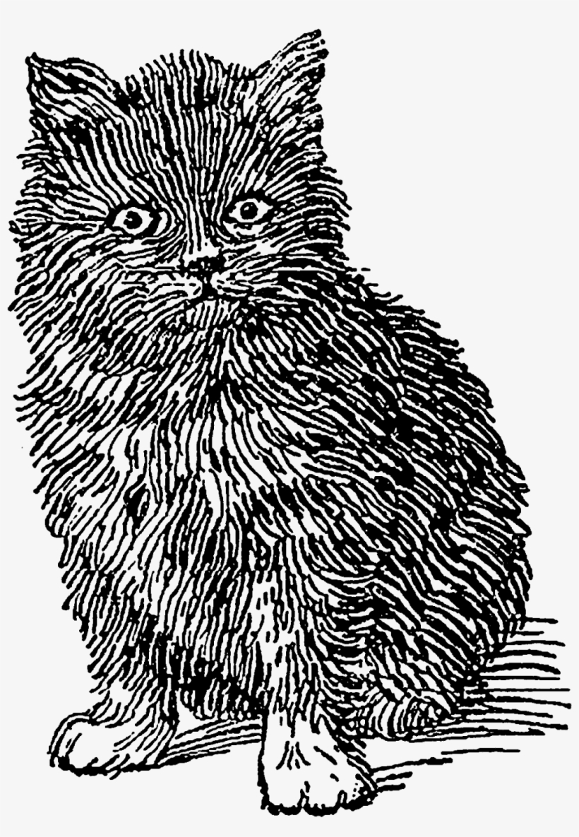 Digital Stamp Design, transparent png download