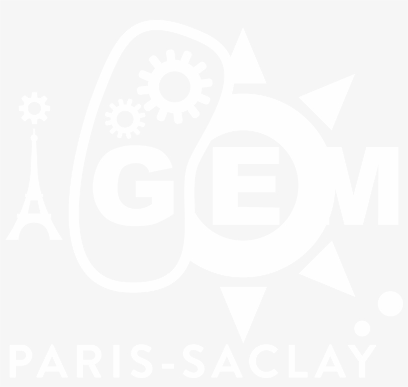 Copyright © 2016 Igem Paris Saclay - Illustration, transparent png download