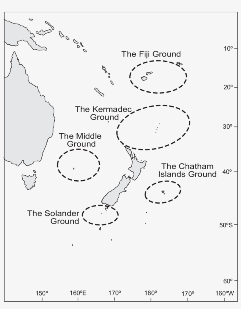 Concentrations Of Sperm Whales Around New Zealand Waters - Diagram, transparent png download