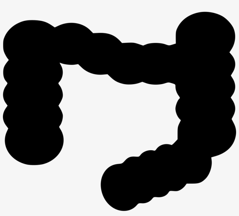 Png File Svg - Illustration, transparent png download