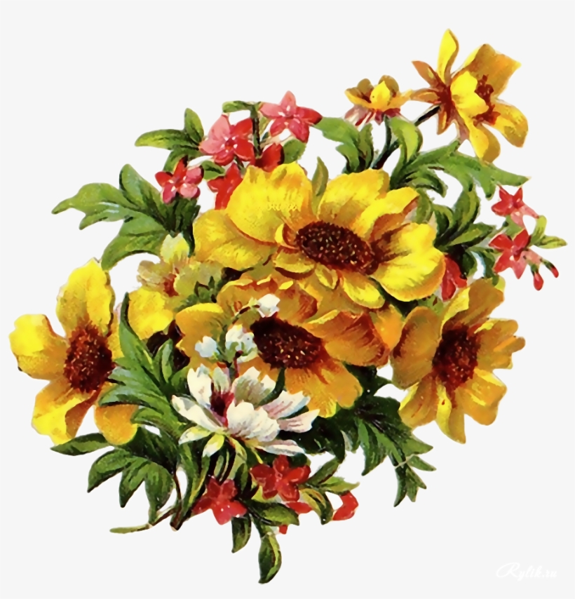 Desktop Nexus Vintage, transparent png download