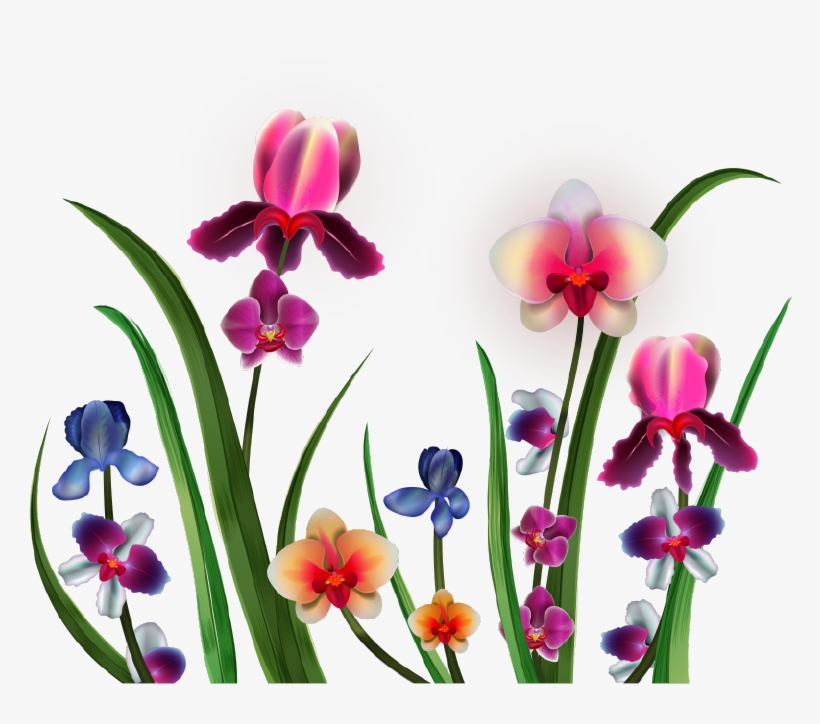 Visit - Clip Art, transparent png download