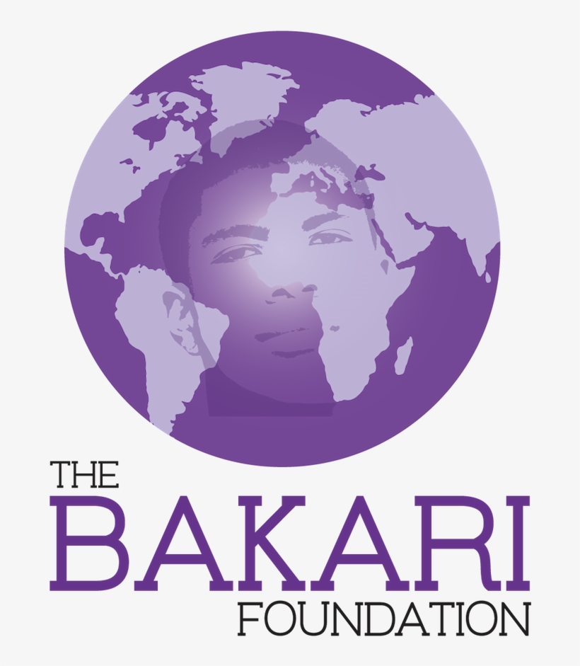 Latin American Social Sciences Institute, transparent png download