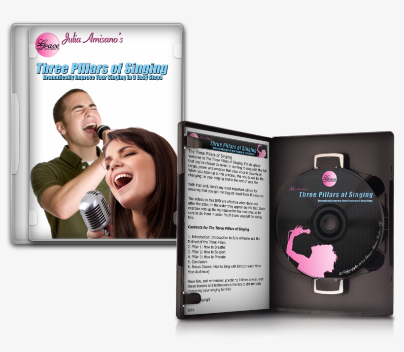 How To Sing Like Taylor Momsen - Dvd, transparent png download