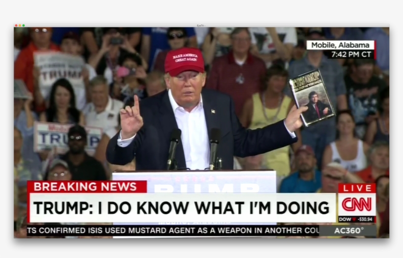Trump Disaster, transparent png download