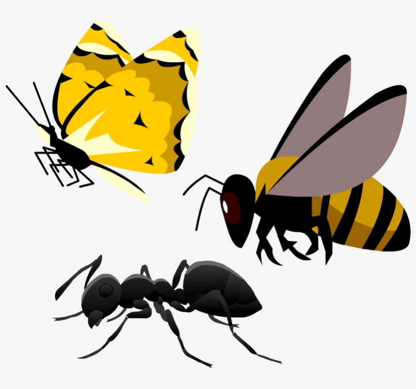 Insects - Honeybee, transparent png download