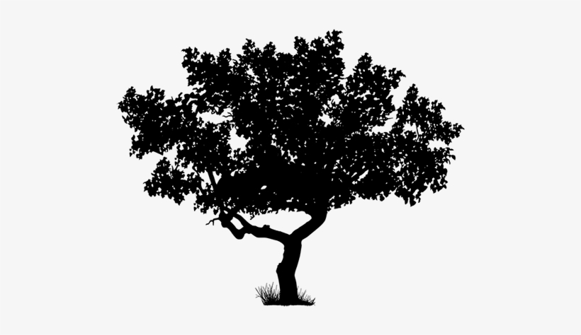 Header Grass Graphic Header Tree Graphic - All My Sons Rose Theatre Kingston, transparent png download