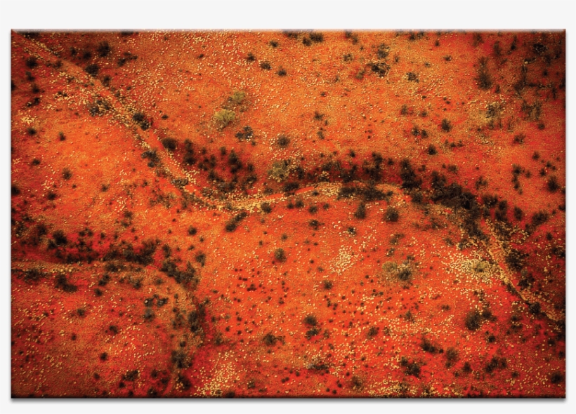 Down To Earth - Down To Earth Inc., transparent png download