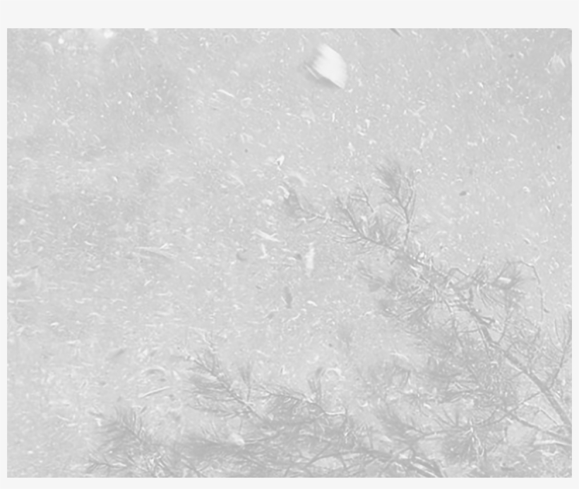 Mulching Texture - Monochrome, transparent png download