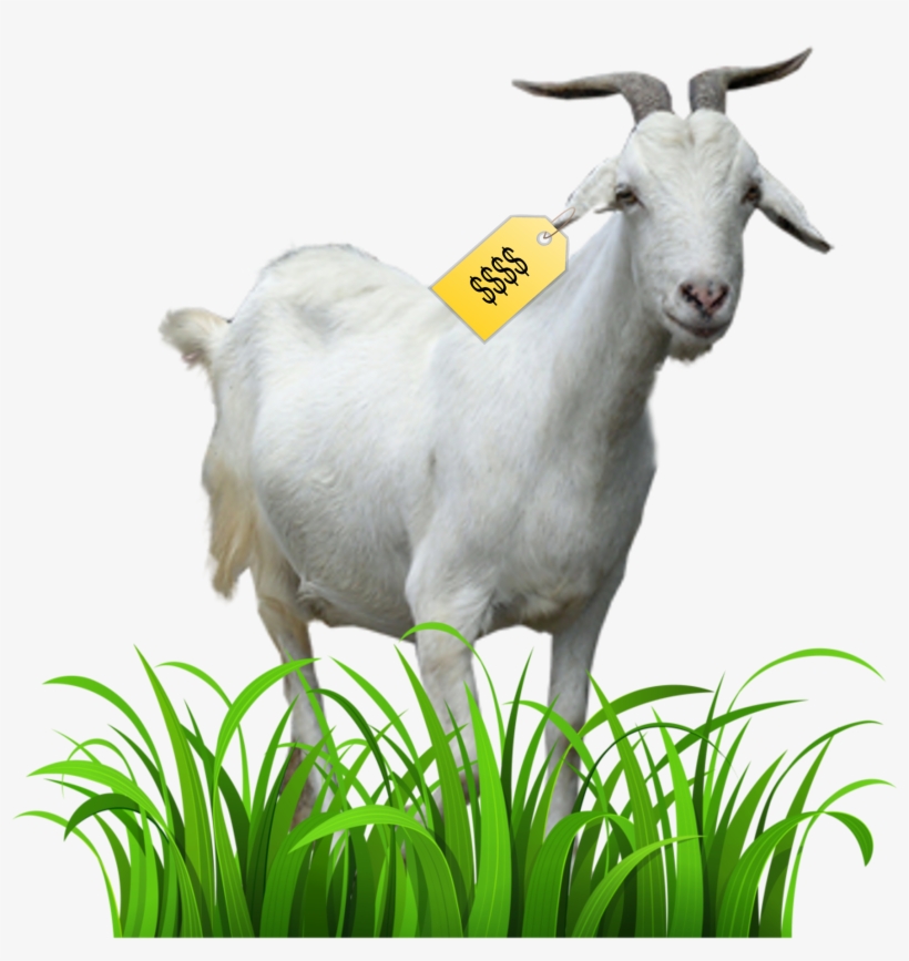 Kristaps Porzingis Goat, transparent png download