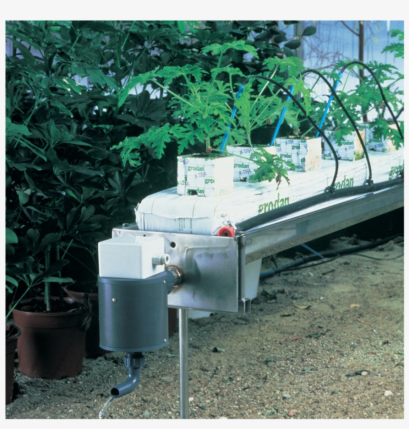 Start Tray / Drain Tray - Irrigation, transparent png download