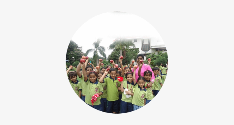 Picnic - Fun, transparent png download