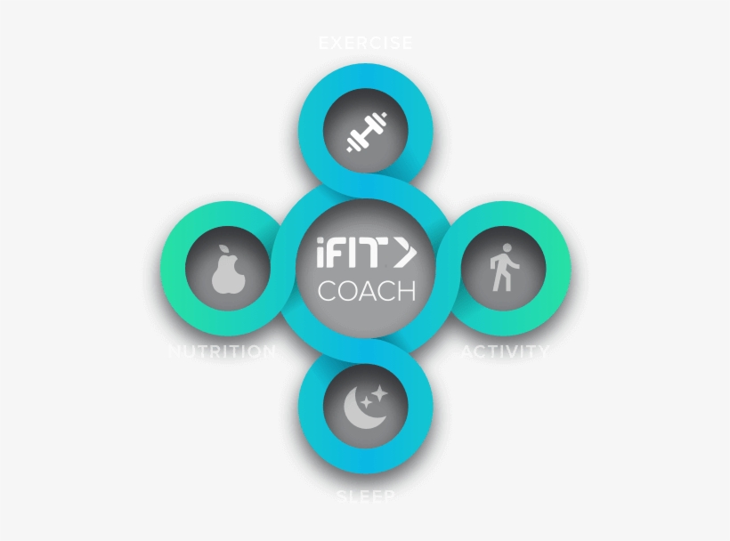 Exercise Rings - Ifit, transparent png download