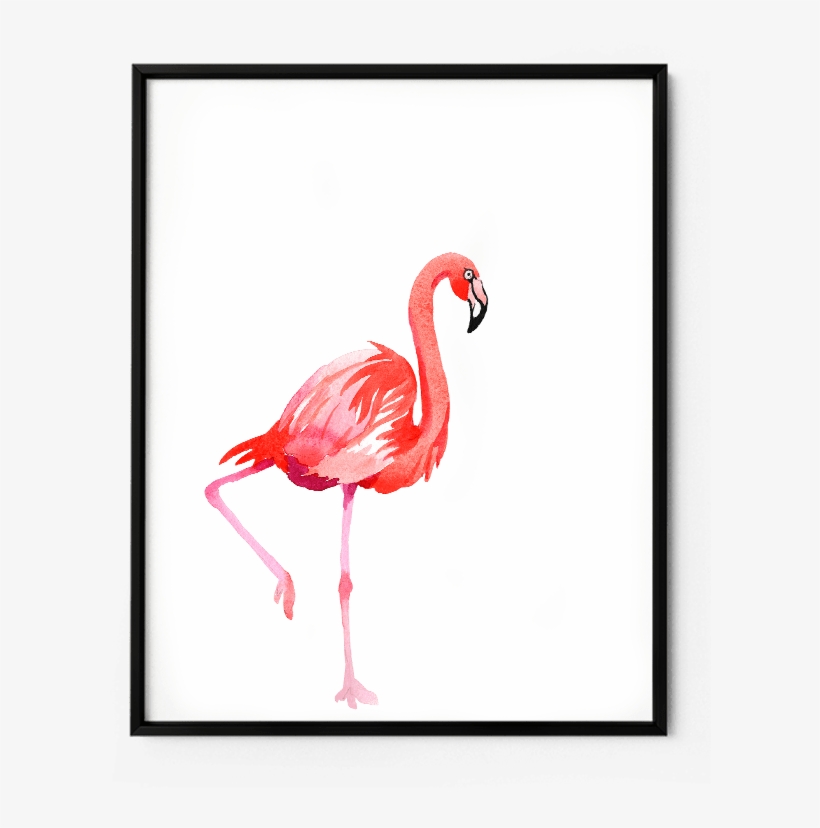 Flamenco Pajaro En Aquarela, transparent png download