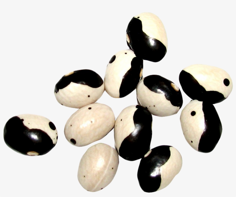 Yin Yang Beans Png Image - Portable Network Graphics, transparent png download