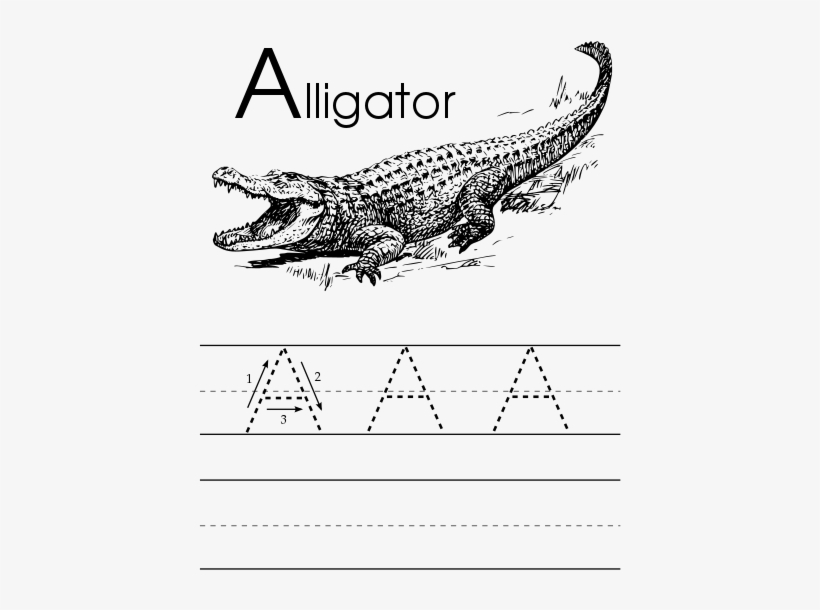 This Image Rendered As Png In Other Widths - Camouflage Dave's Cajun Alligator Jerky - Camouflage, transparent png download