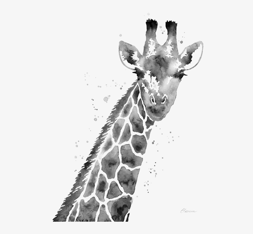 Bleed Area May Not Be Visible - Giraffe In Black And White, transparent png download