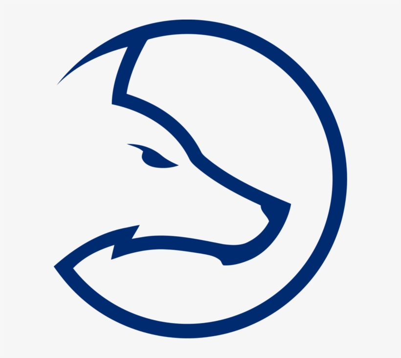 Team Ldlc, transparent png download