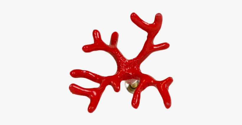Red Coral Knob - Coral Knob, transparent png download