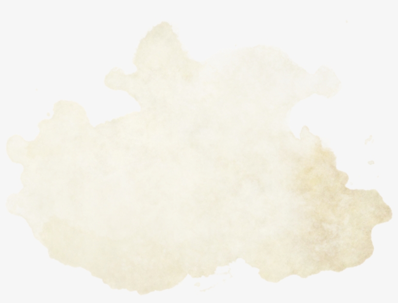 Livro - Papagaio Louro: Como Lidar Com As Diferencas, transparent png download