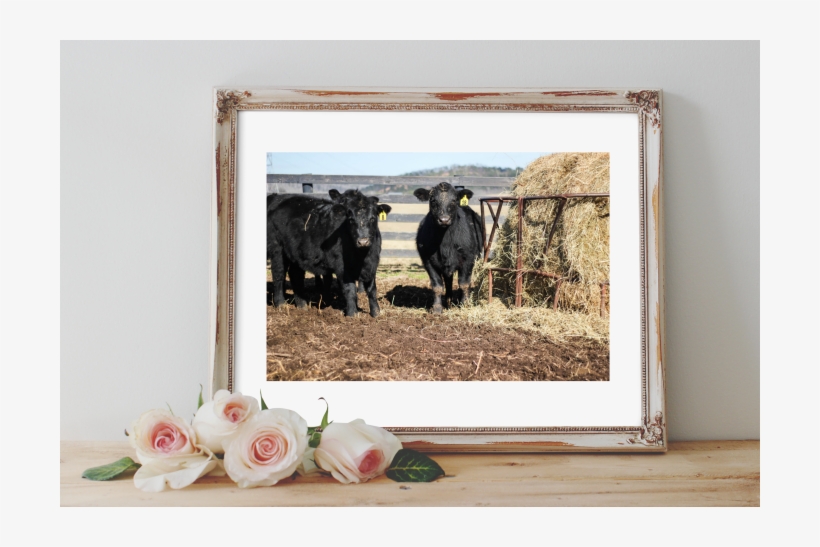 Cow Art Print - Watercolor Painting, transparent png download