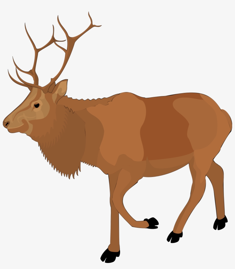 Clip Art Reindeer Clipart - Reindeer Clipart, transparent png download