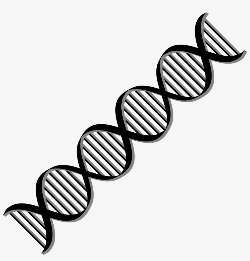 This Free Icons Png Design Of Dna Helix Variation 2, transparent png download
