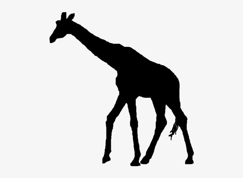 Painting At Getdrawings Com Free For Personal - Giraffe Silhouette Png Clipart, transparent png download