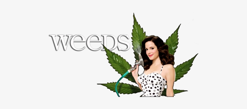 Weeds-a1 - Poster Weeds, transparent png download