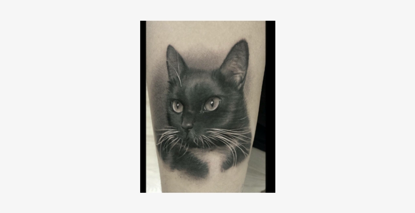 David Vega - Realism, transparent png download