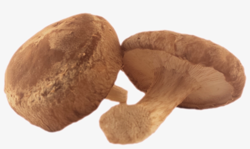 Fresh Organic Shiitake - Shiitake, transparent png download