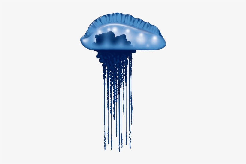 Free Png Blue Bottle Jellyfish Photo Png Images Transparent - Blue Bottle Jellyfish Cartoon, transparent png download