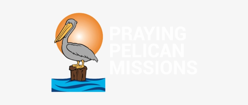 Puerto Rico Clipart Bird - Praying Pelican Missions, transparent png download
