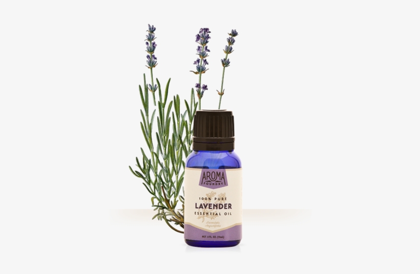 Lavender Essential Oil - Fine Lavender Essential Oil Organic 10ml Florame, transparent png download