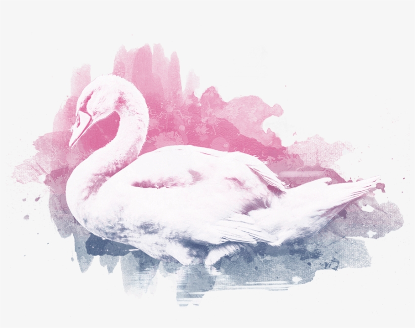 Day, transparent png download