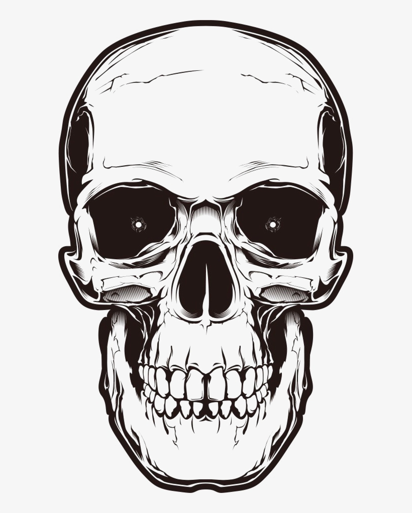 Bone Skull Png Image Background - Skull Png, transparent png download