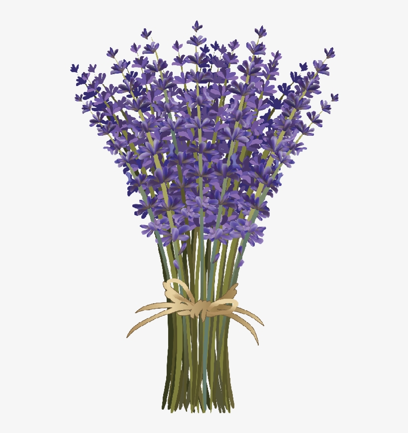 Flores Png - Lavender Clipart, transparent png download